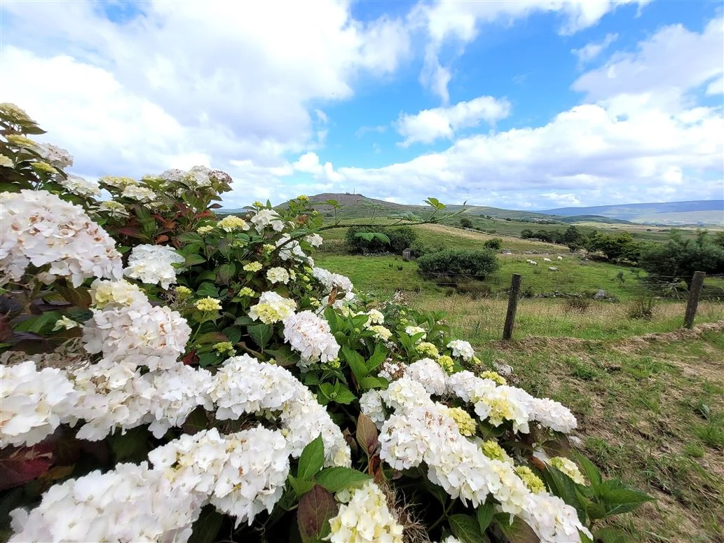 Moon & Mellow The Short Set Tropical Bird Organic Cotton Pyjamas,€170