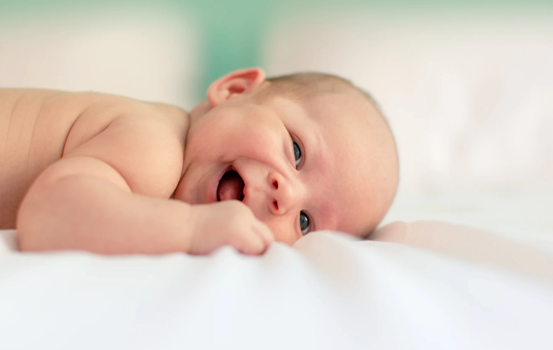 20 plant-inspired baby names you’ve probably never heard of 20 plant-inspired baby names you’ve probably never heard of