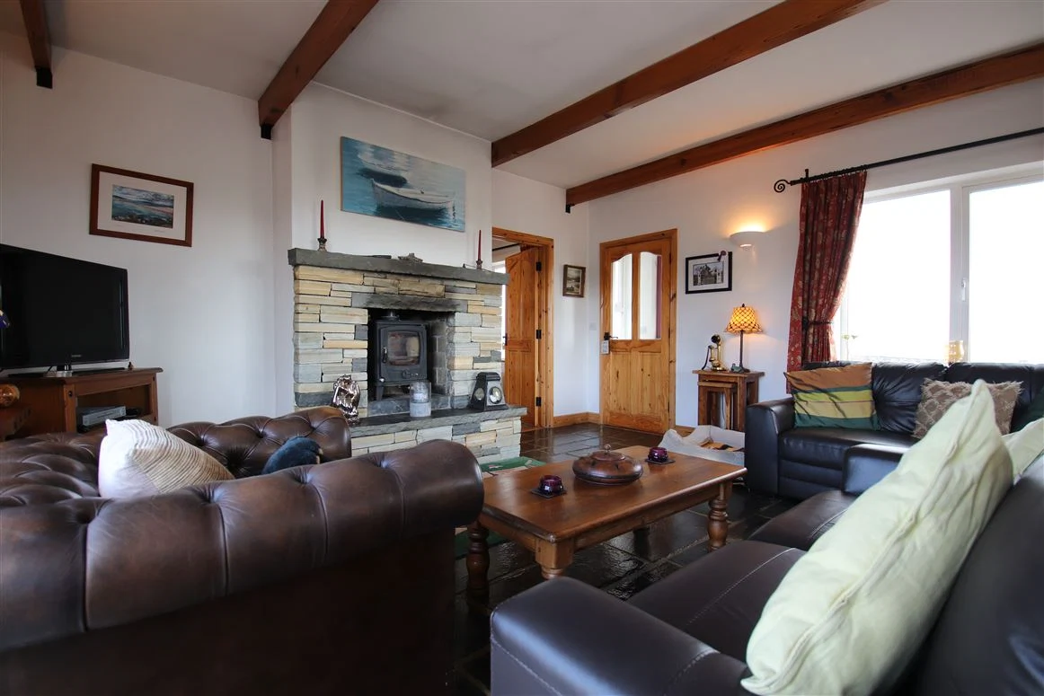 Donegal house for sale living room
