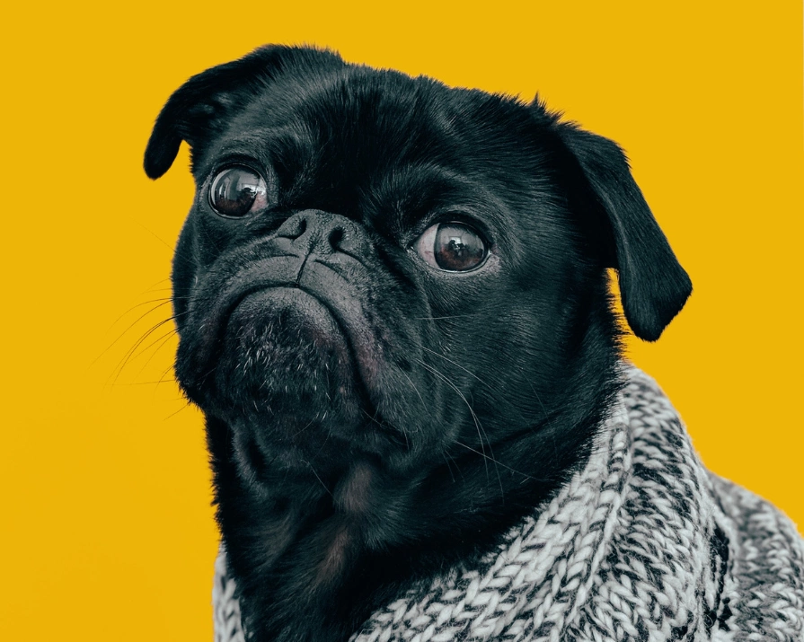 The power of pessimism: why you should lower your expectations