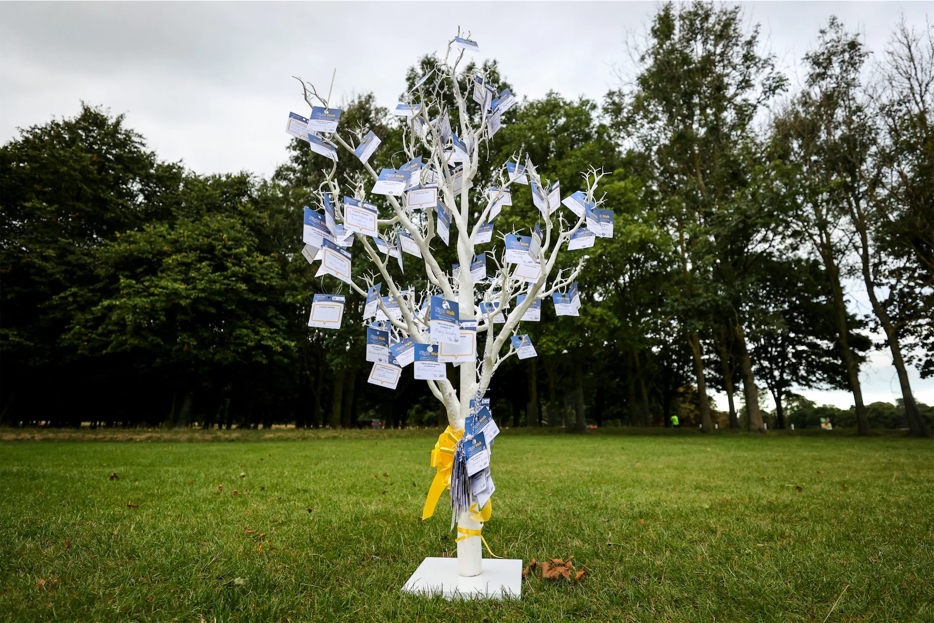 Boots Night Walk For Night Nurses 2022