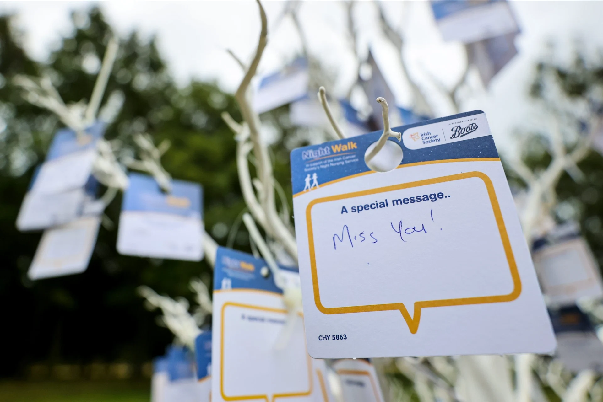 Boots Night Walk For Night Nurses 2022