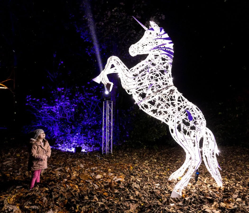 November Event Guide: From food festivals to light displays, here’s what’s happening around Ireland this month