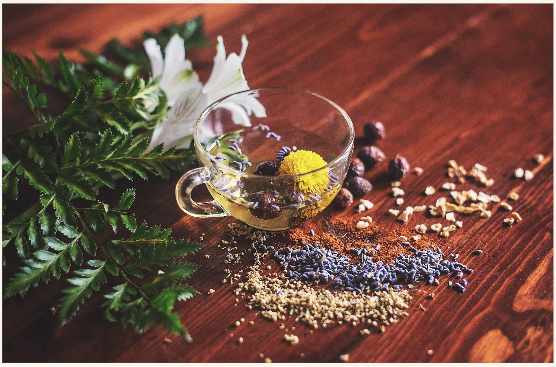 What are the benefits of herbal tea? Turns out, there are many What are the benefits of herbal tea? Turns out, there are many
