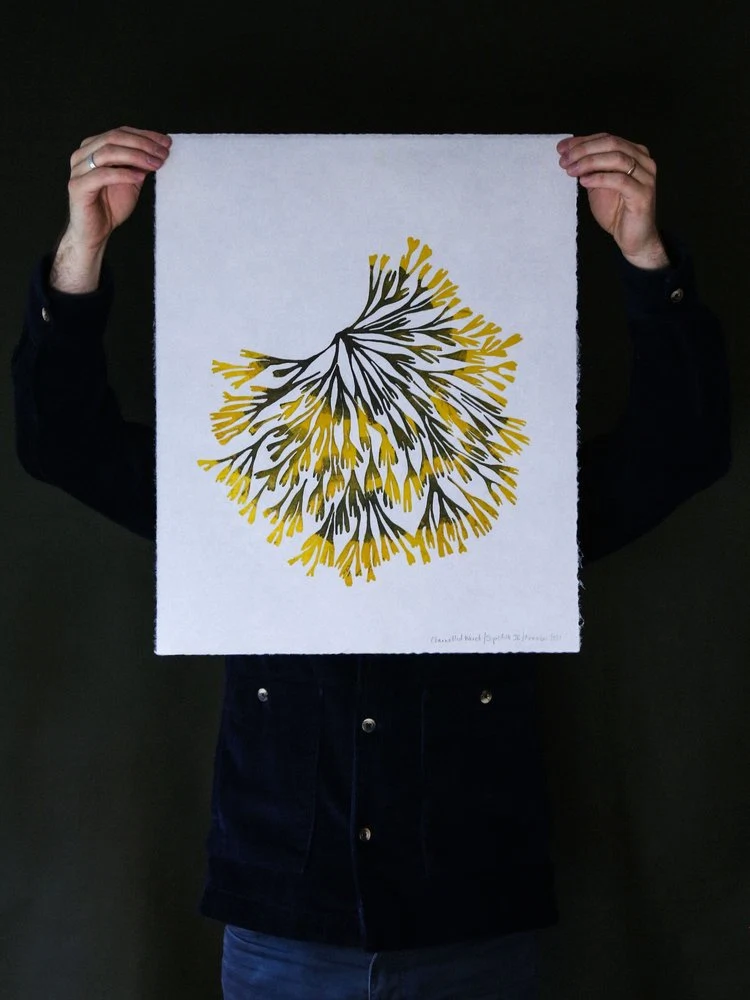 Channelled Wrack Print, €100, Superfolk