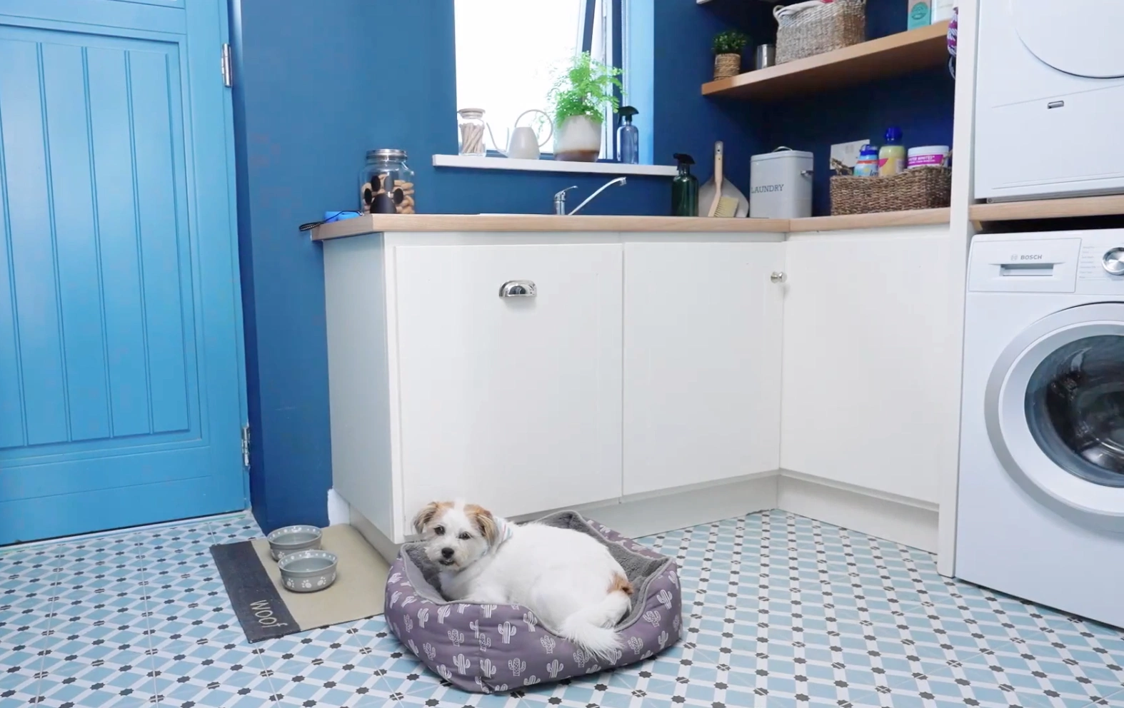 A pet owner’s guide to keeping your home hair-free