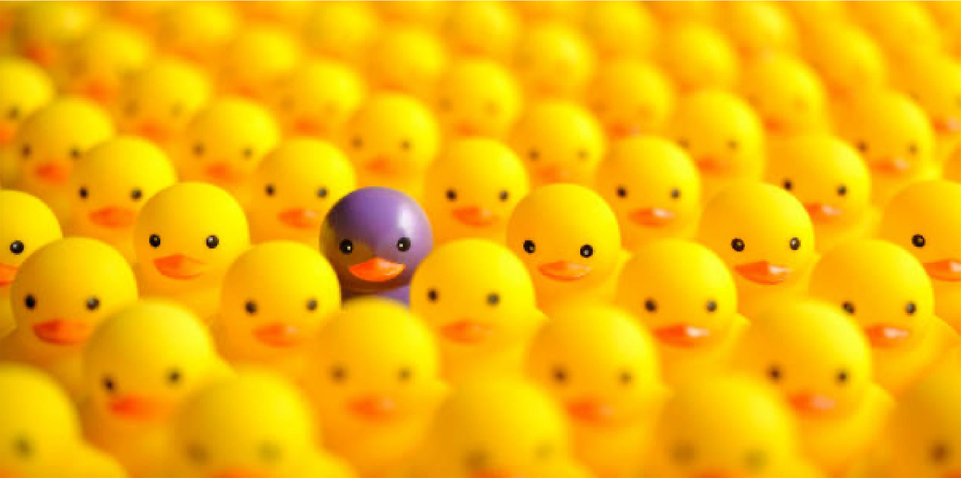 Top tips: How to write a business award entry that stands out