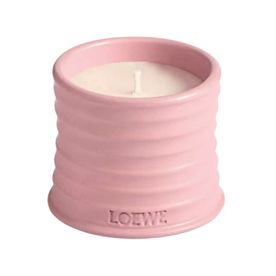 Loewe Candle Ivy, €75