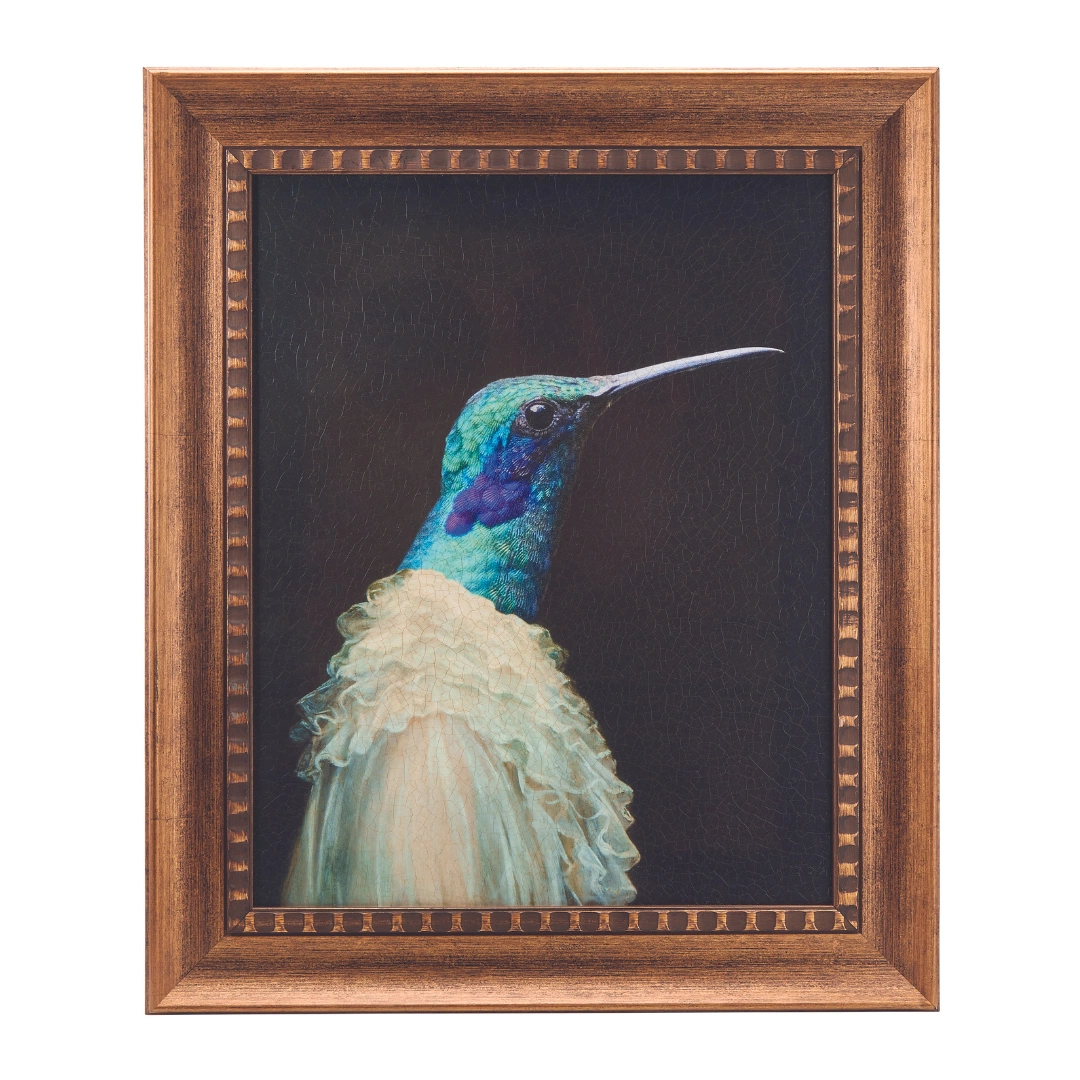Hummingbird Portrait, €34.99