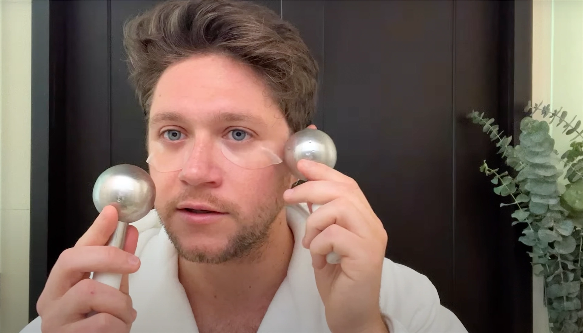 Niall Horan is a grooming god with a €1.5k, 22-step routine