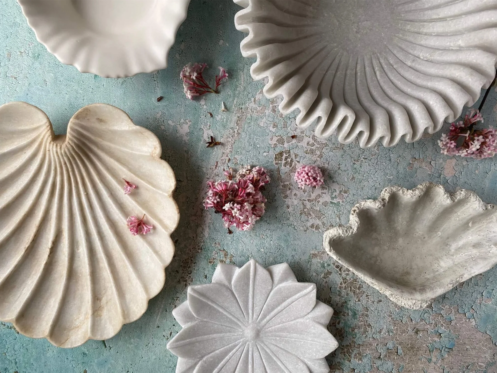 22 shell-inspired homeware pieces for a natural, chic vibe