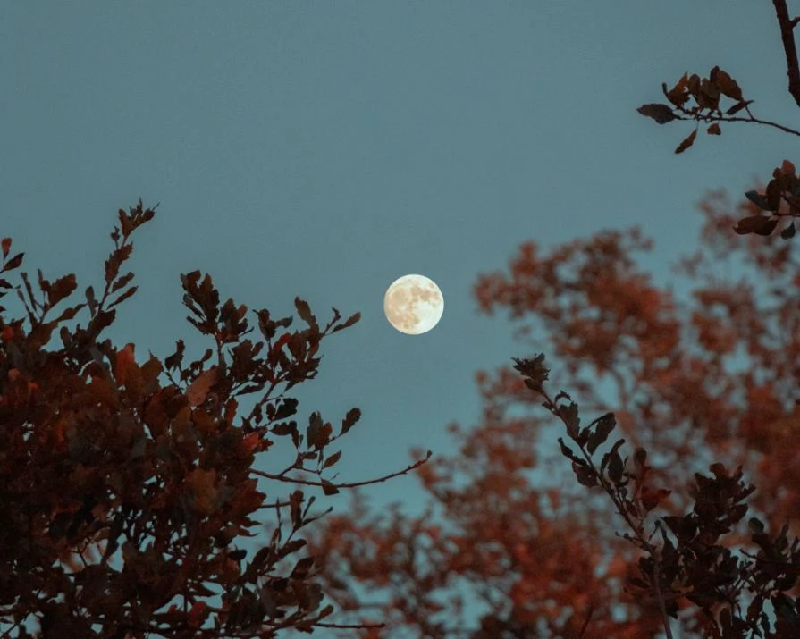 Full Flower Moon