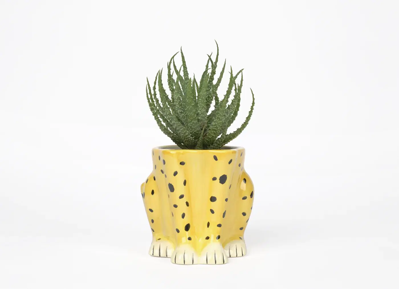 April + the Bear, Cheetah Plant Pot, €45