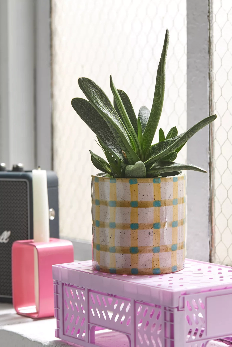 Elia Check Plant Pot, €12, Urban Outfitters