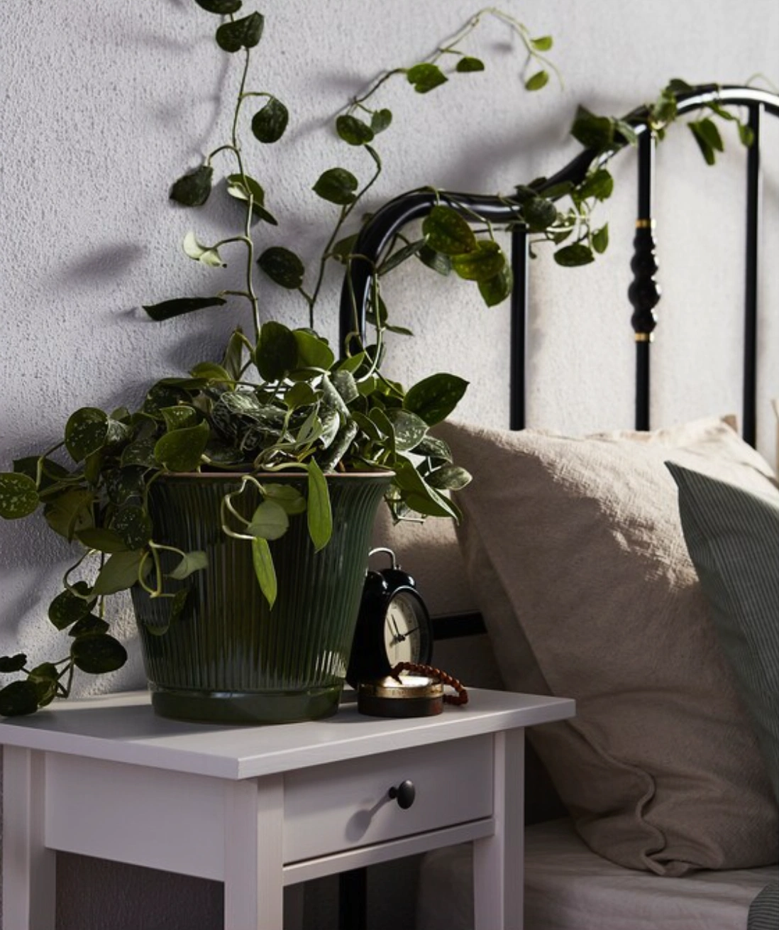 Kamomill plant pot, €19, Ikea