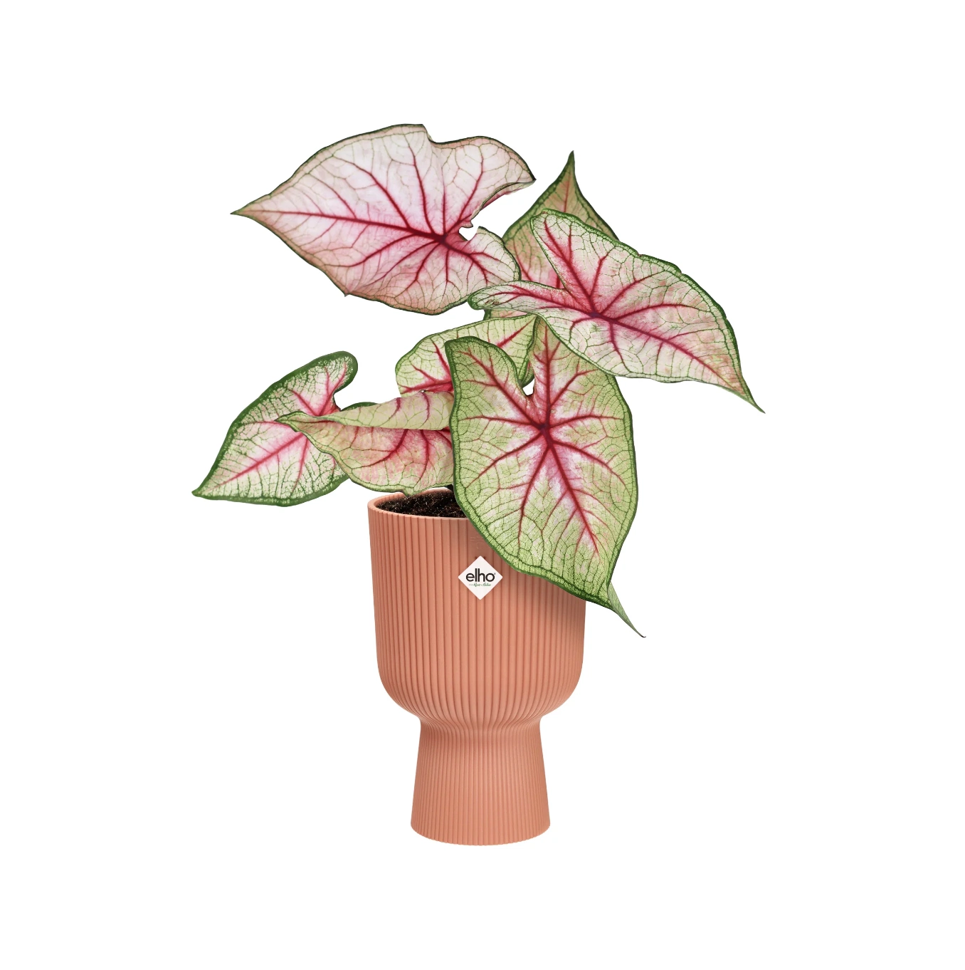 Vibes Folds Round Coupe Plant Pot, €9.95, Ballyseedy