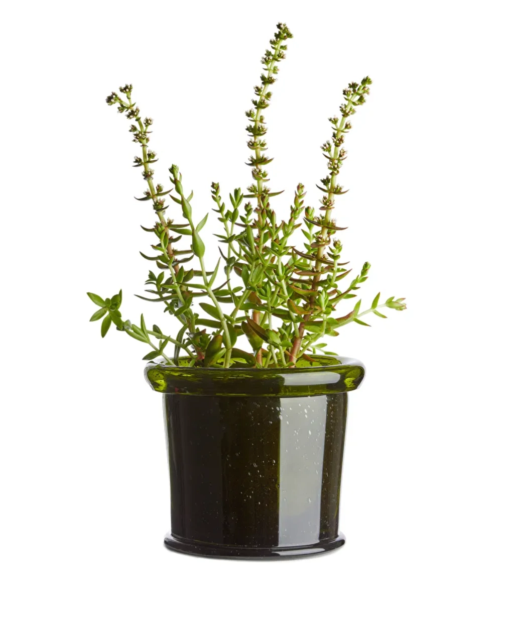 Glass Pot, €39, Arket