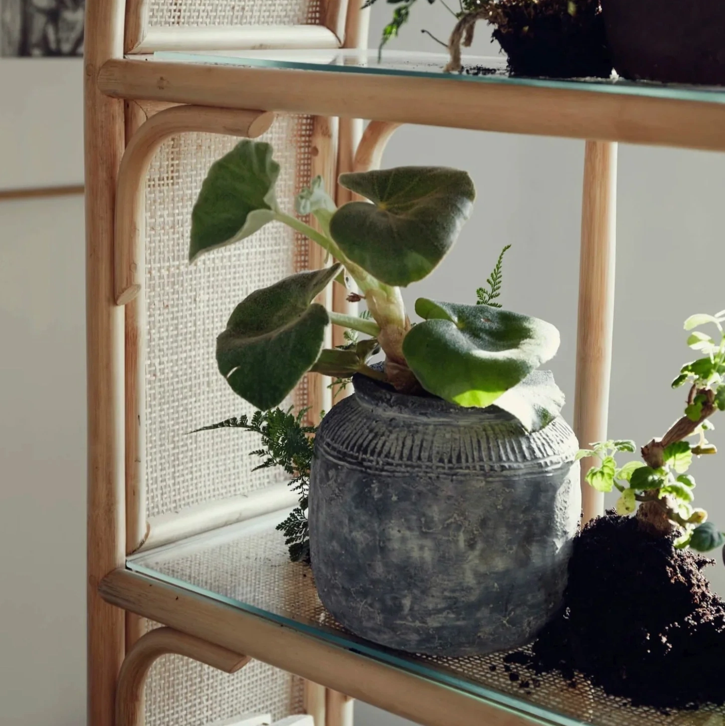Grey raw finish planter, €30, Dwell by Eilish Rickard Interiors