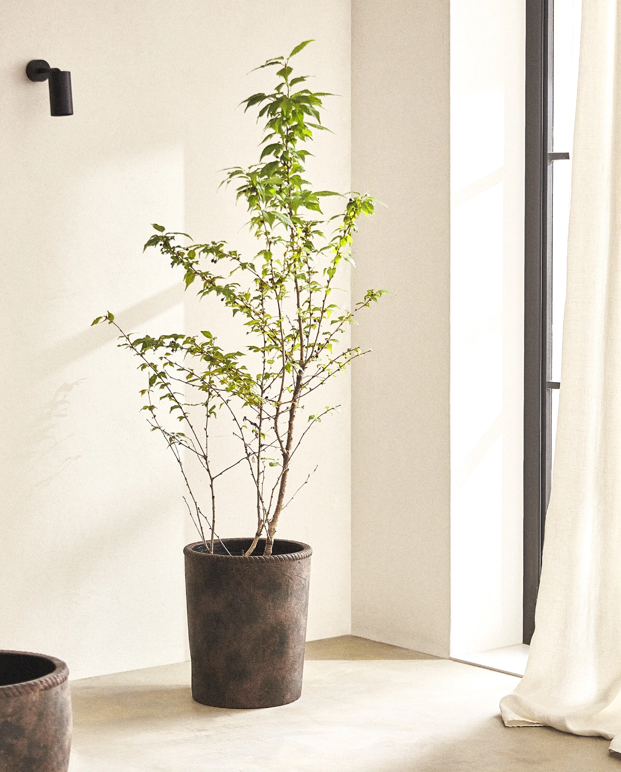 Bring the outdoors in with our pick of houseplant pots