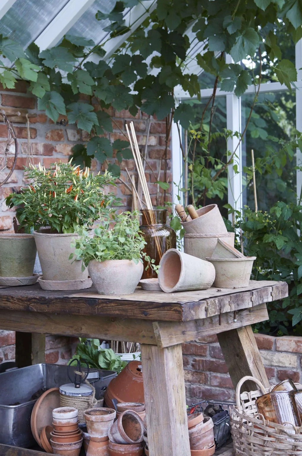Aged terracotta pot with saucer, €19.50, Amber + Willow