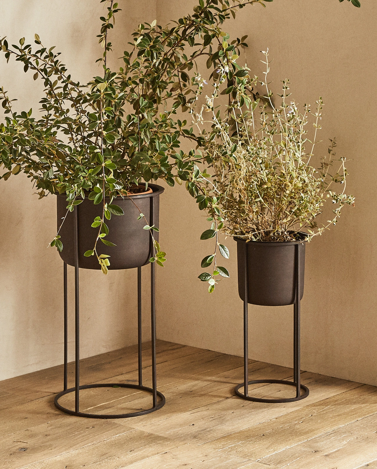 Metallic flowerpot, from €59.99, Zara Home