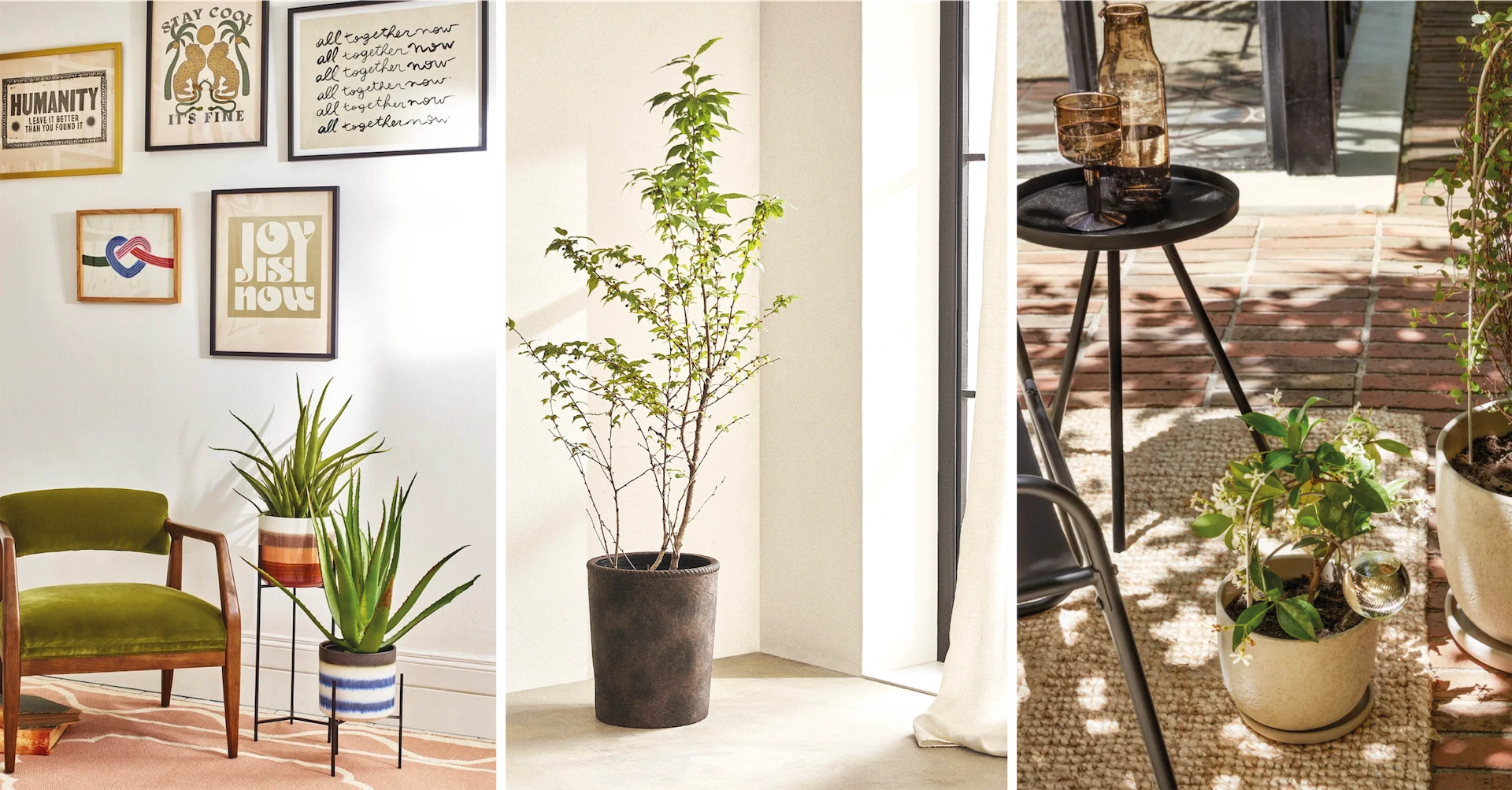 Bring the outdoors in with our pick of houseplant pots