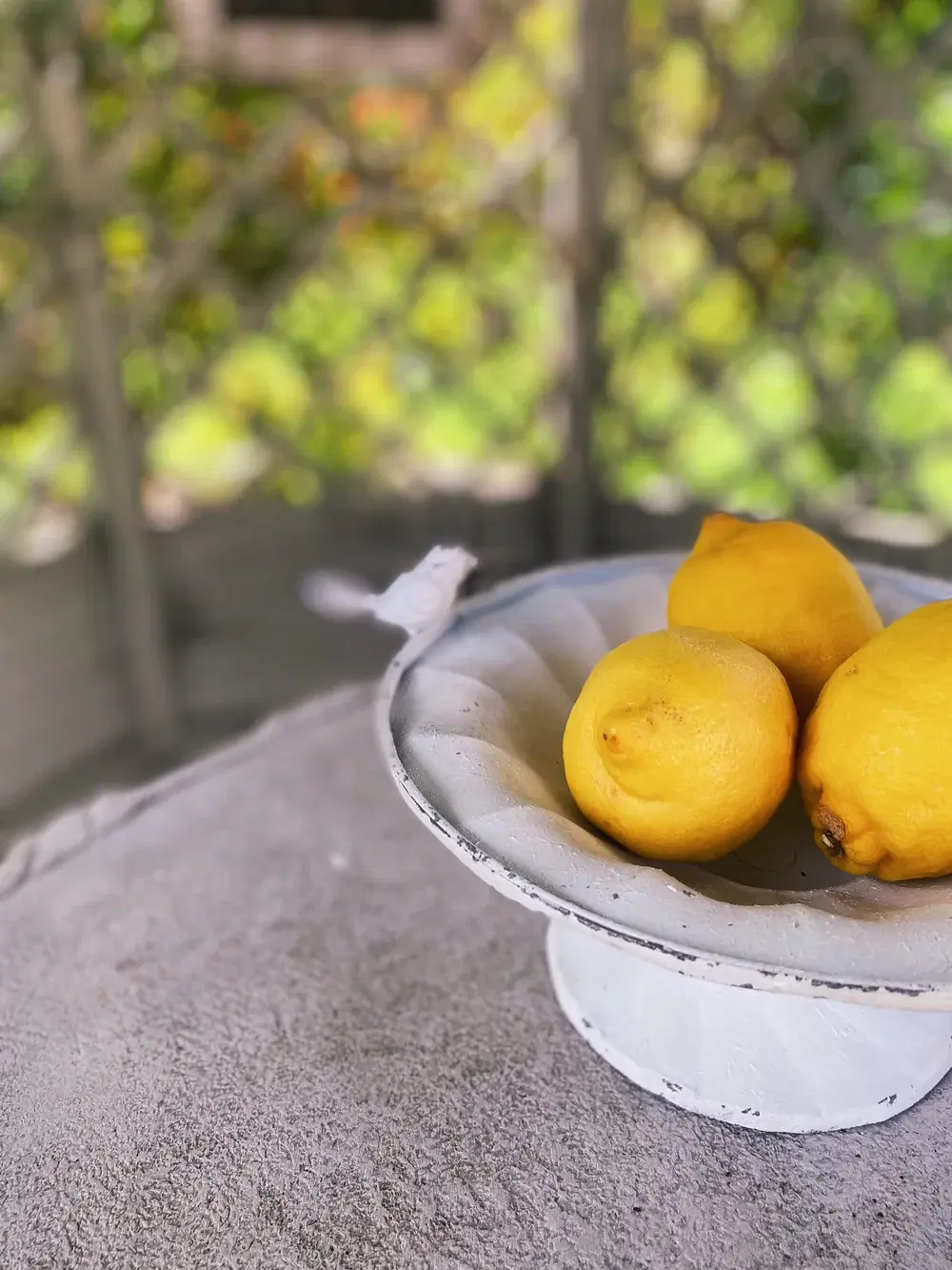 Amber + Willow, Metal Bird Feeder, €22.50