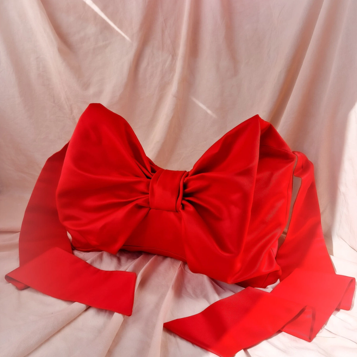 Large Crossbody Bow In Scarlet Satin, €295