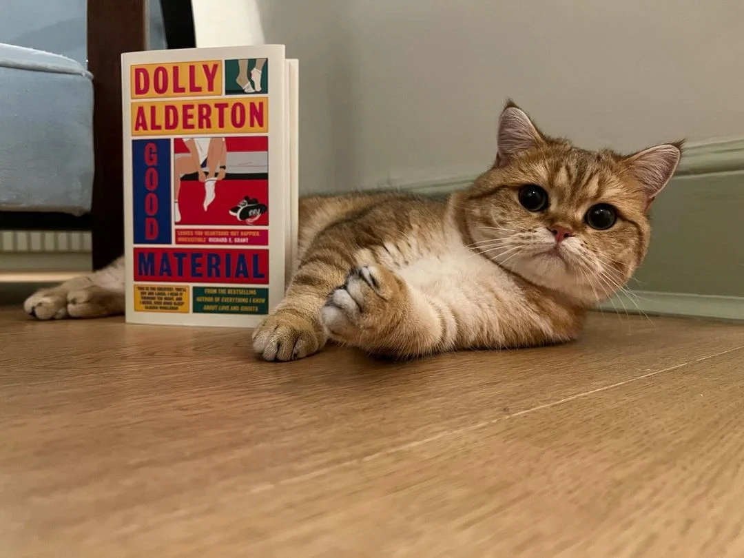 what to read