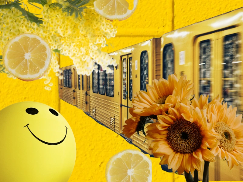 Here’s how colour physically, psychologically and emotionally affects us