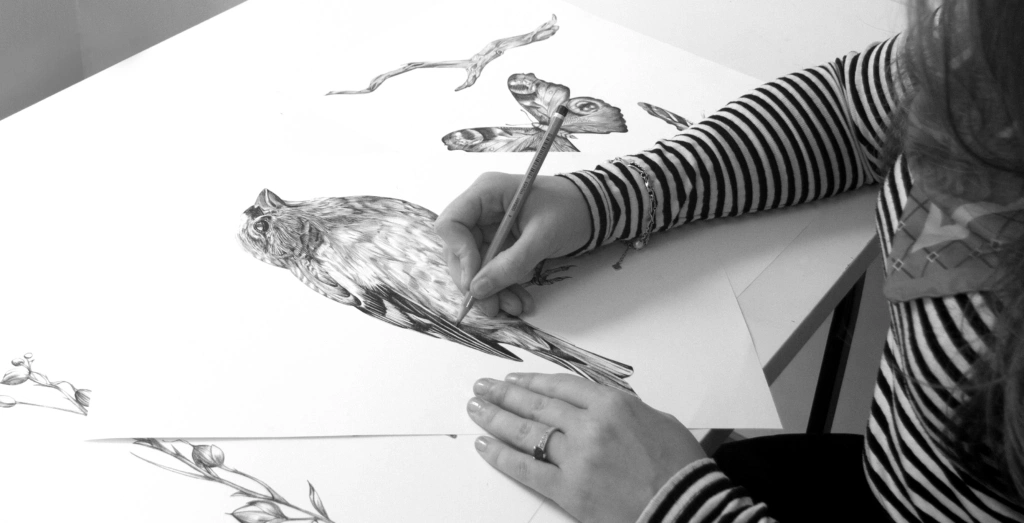 Georgina O'Hanlon illustration