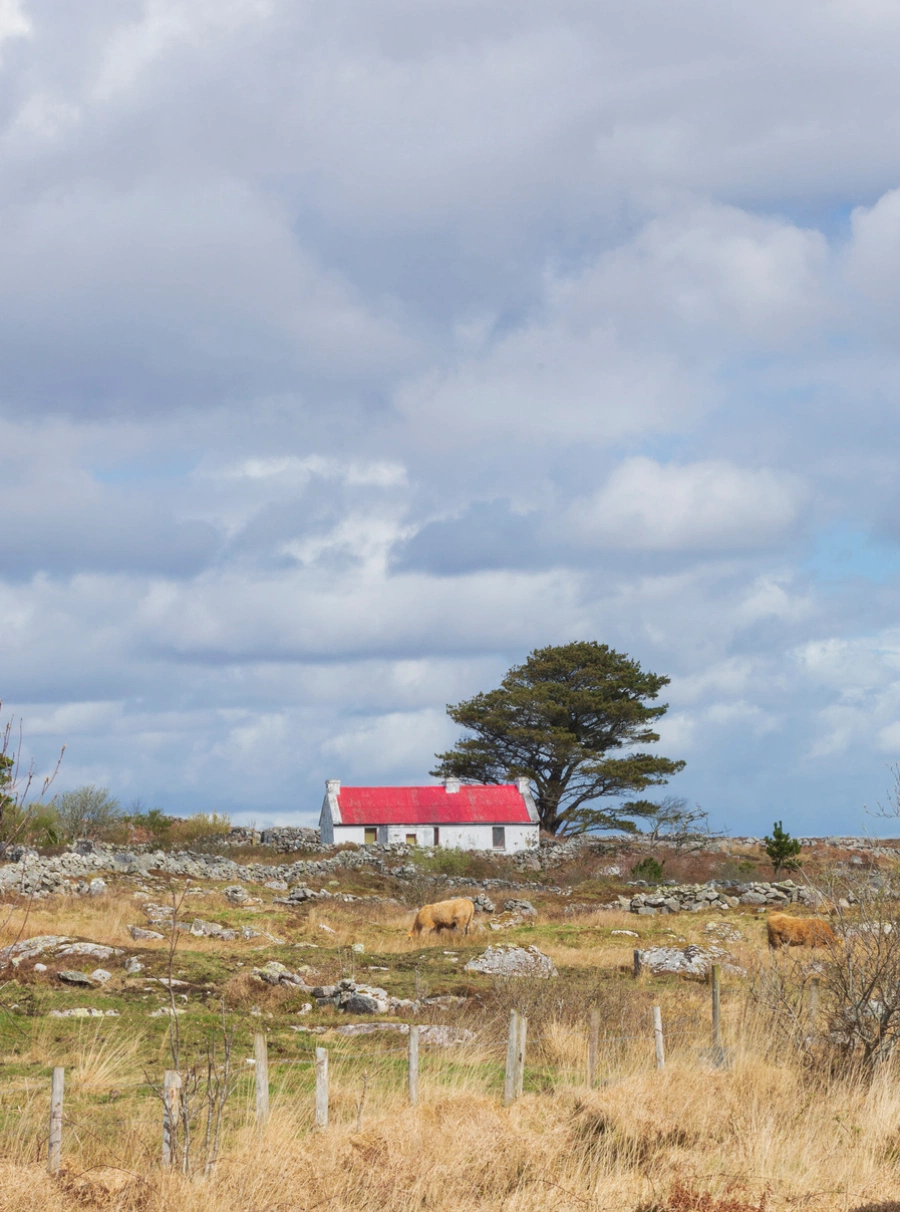 Empty Spaces – Connemara, from €50