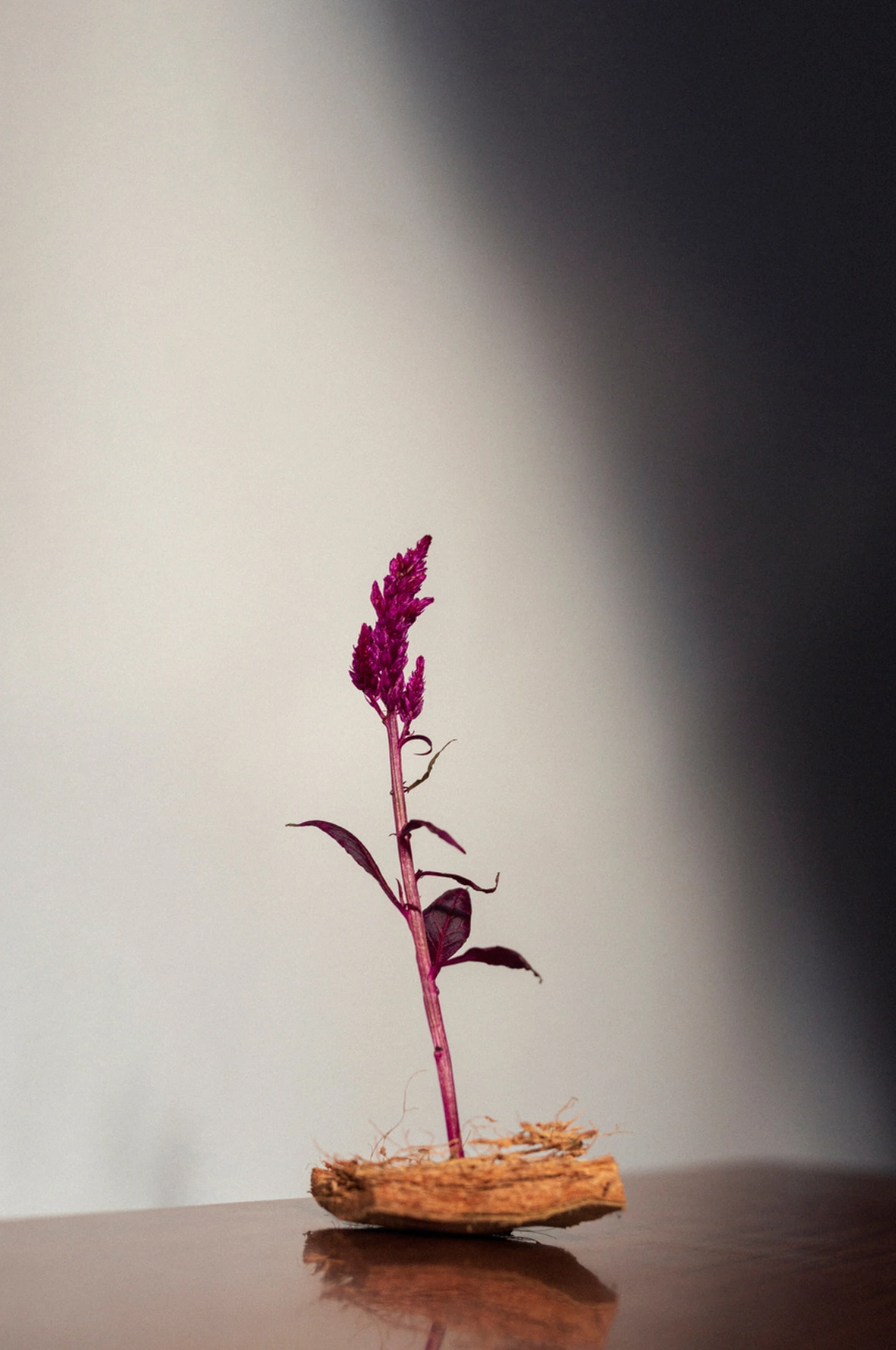 Into The Light, from €50