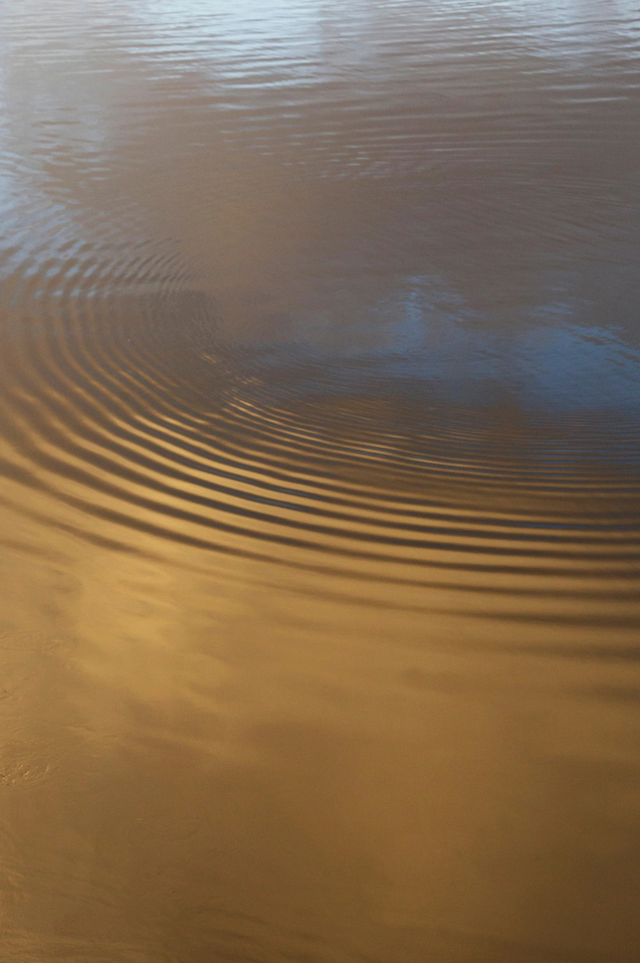 Ripple Effect, from €50