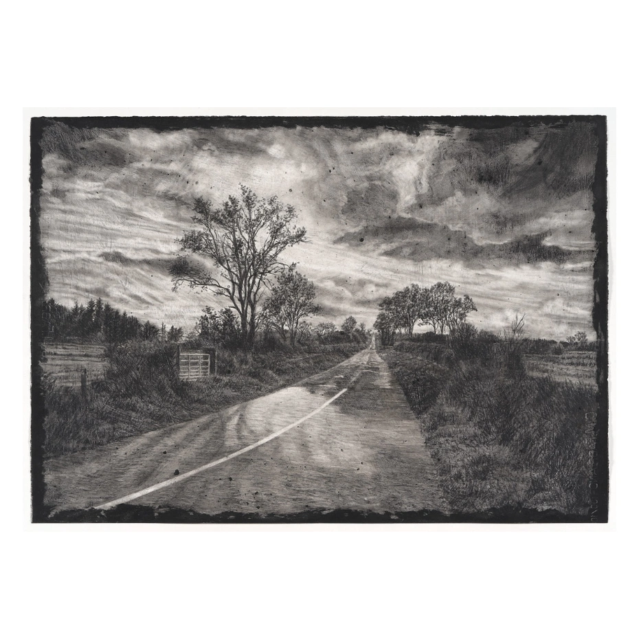 Artform Drawing and Seeing in Charcoal by Michael Wann, €370