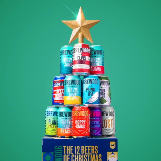 Brew Dog 12 Beers of Christmas, €20.86