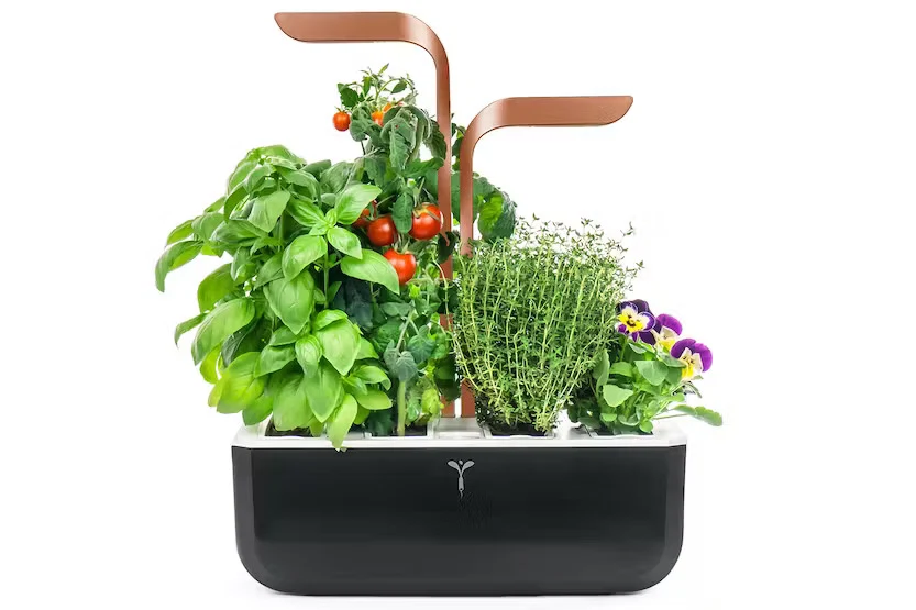 Veritable Smart 4-Slot Indoor Garden, €199