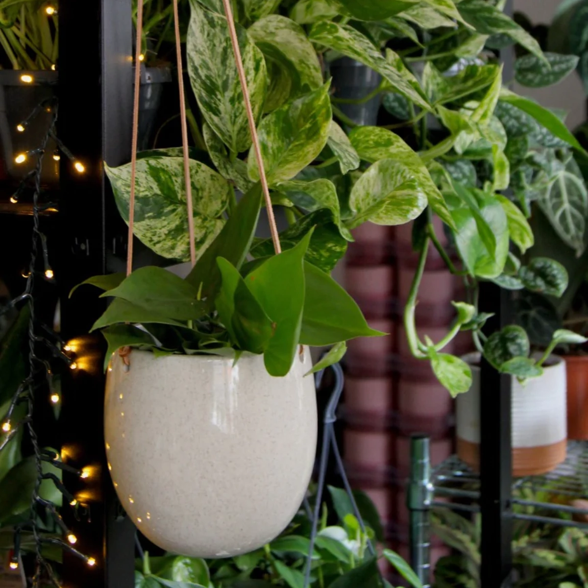 Hopeless Botanics Louise Hanging Pot, €28