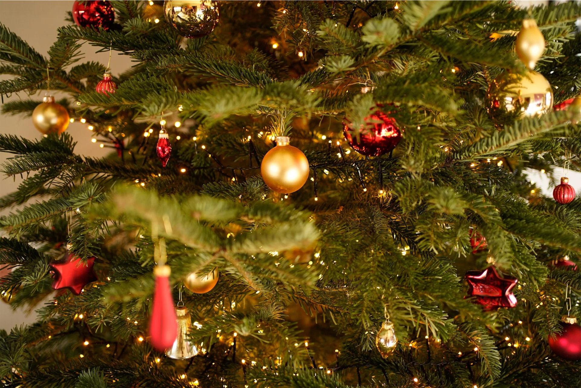 ‘Nothing comes close to the pain you experience that first Christmas, without the one you have lost’