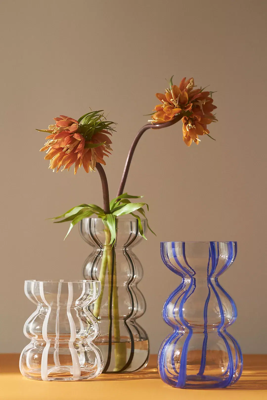 Anthropologie Striped Clear Glass Vase, €35