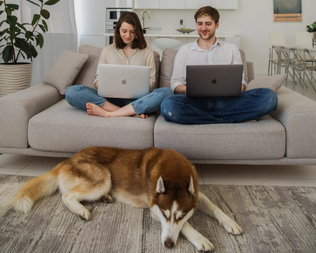 WIN free electricity for one whole year, up to the value of €2,000 WIN free electricity for one whole year, up to the value of €2,000