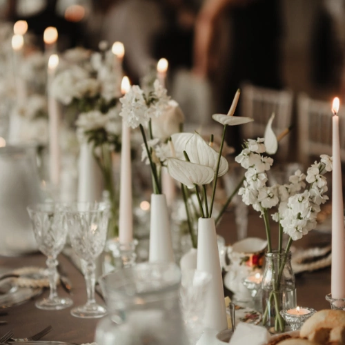 Photo by Ryan Devereux