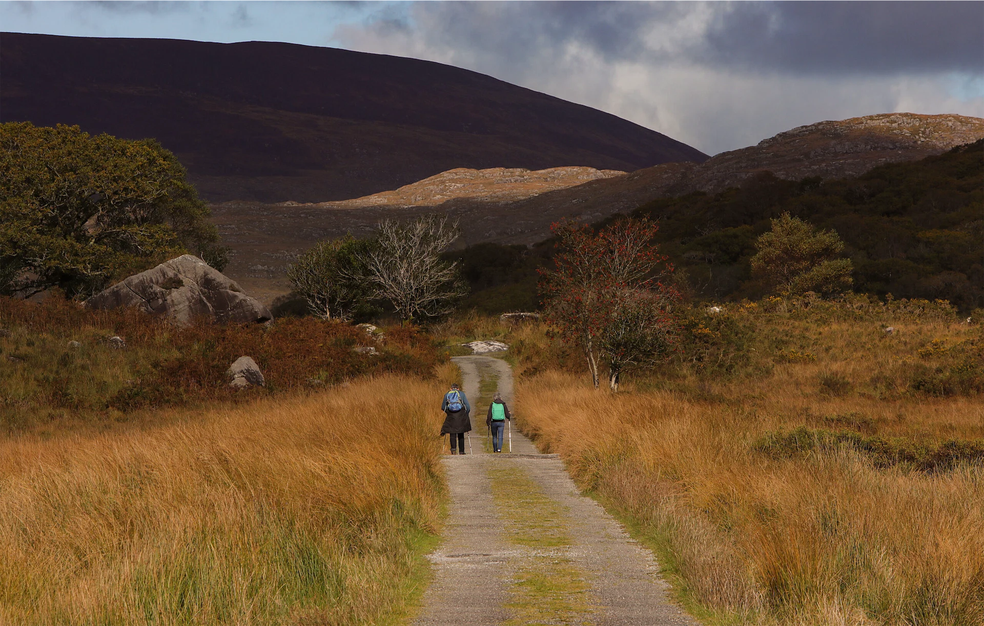 Wander Wild Festival