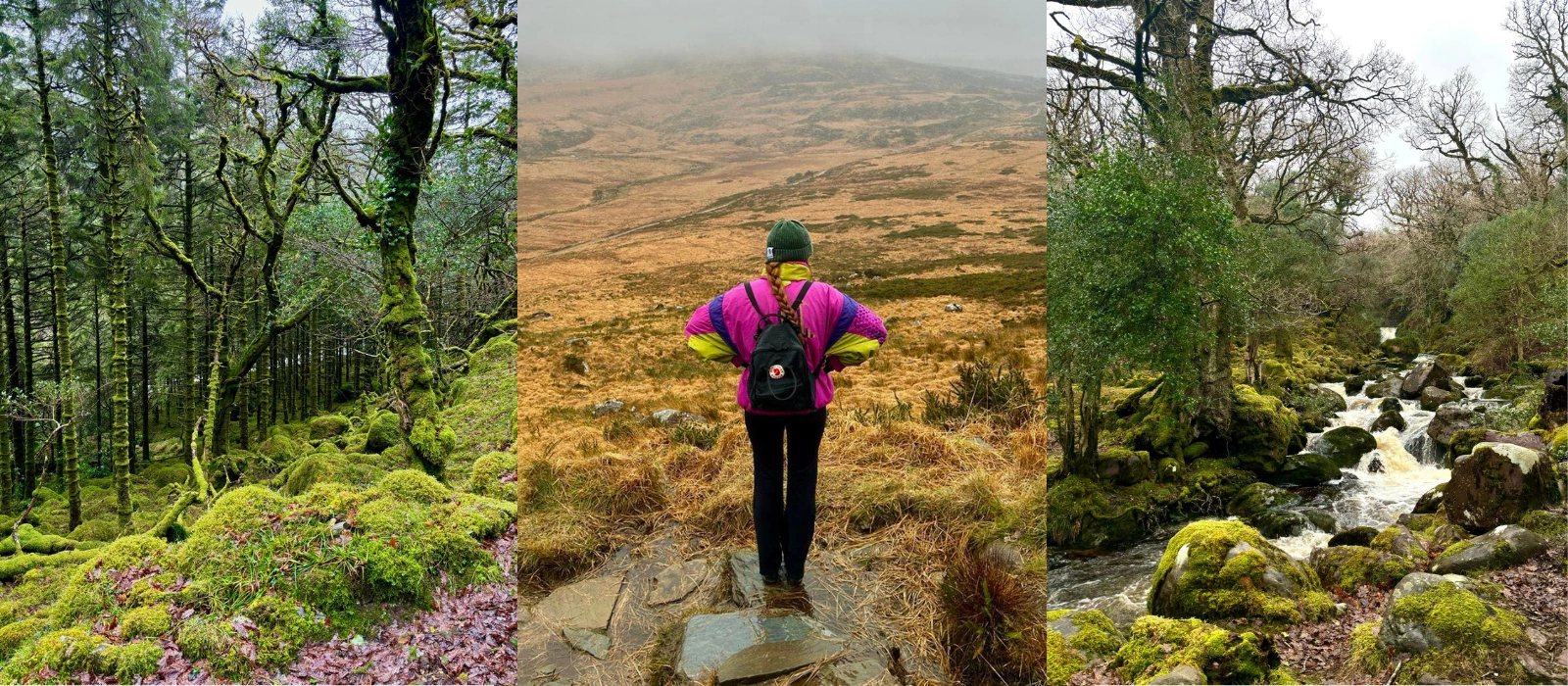 Wandering off the beaten track in Killarney was most definitely a step in the right direction