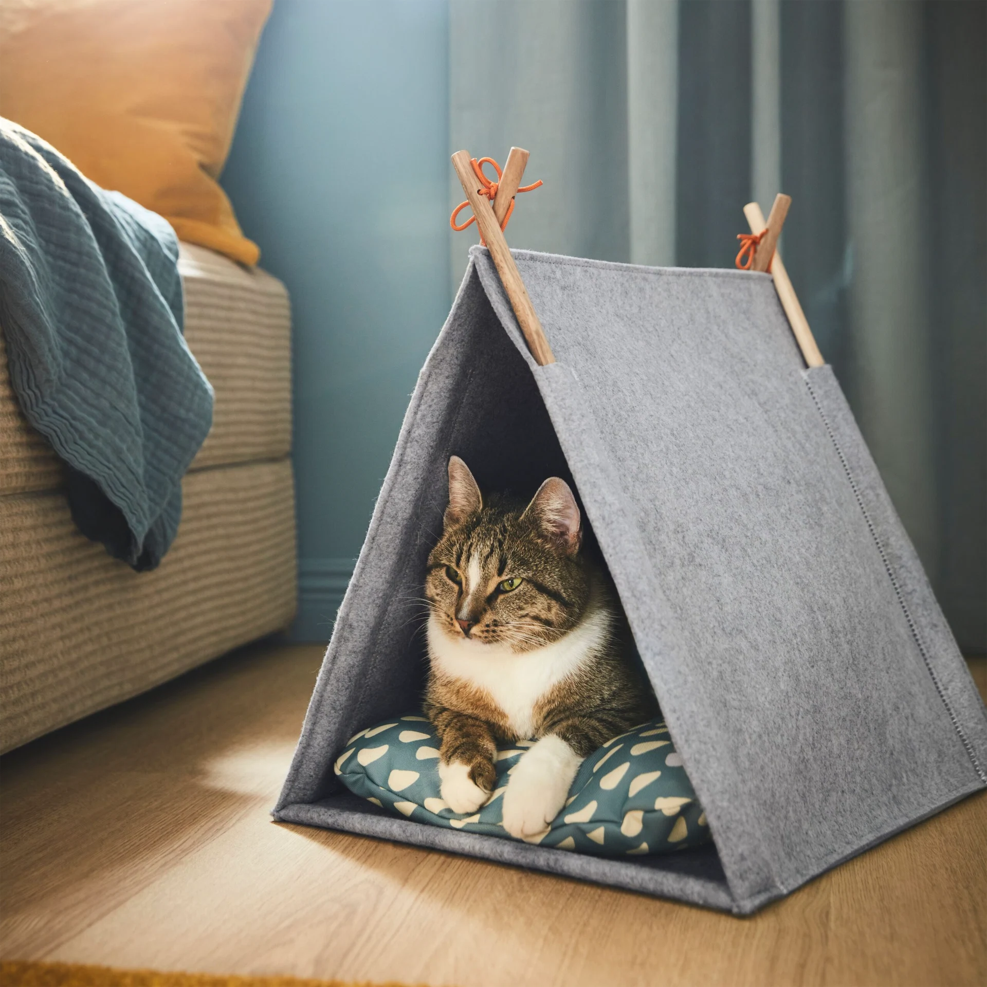 Cat house, €15