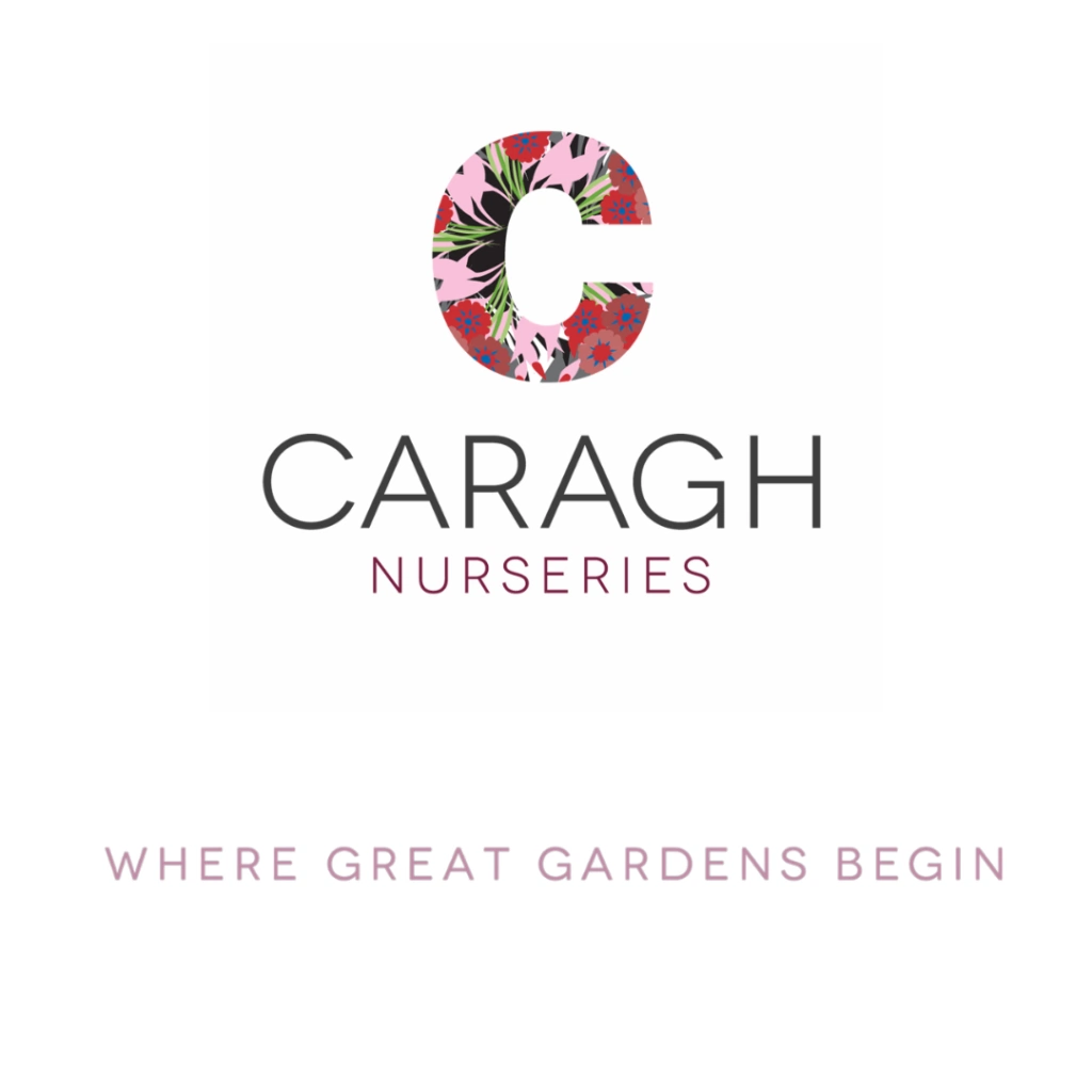 Caragh Nurseries