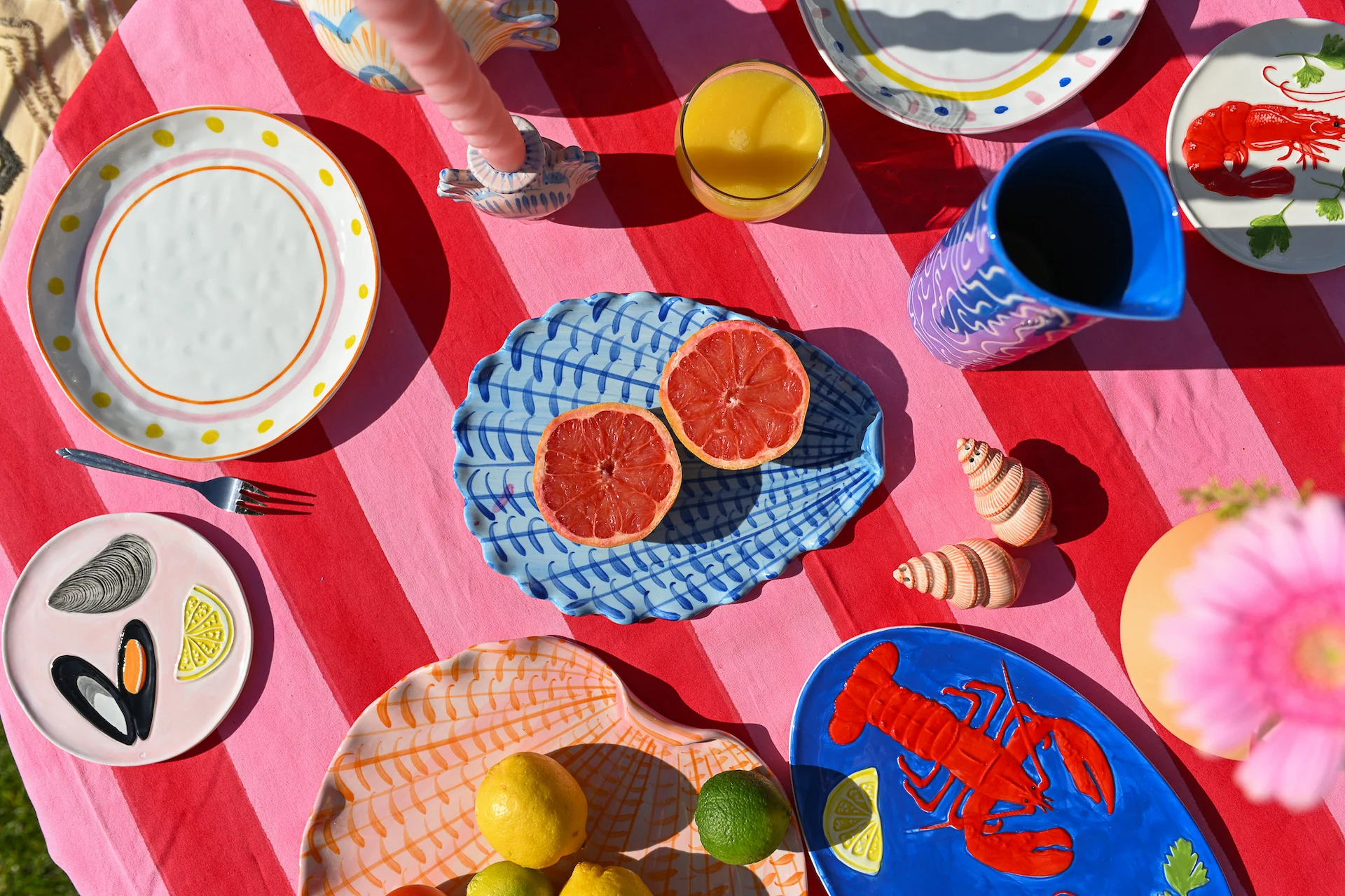 53661187079_6e270628dd_k 53661187079_6e270628dd_k