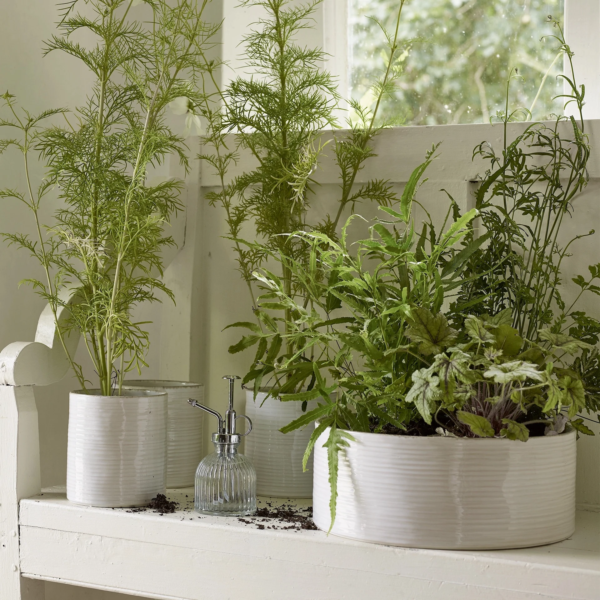 White Ribbed Ceramic Planter, €59, The White Company