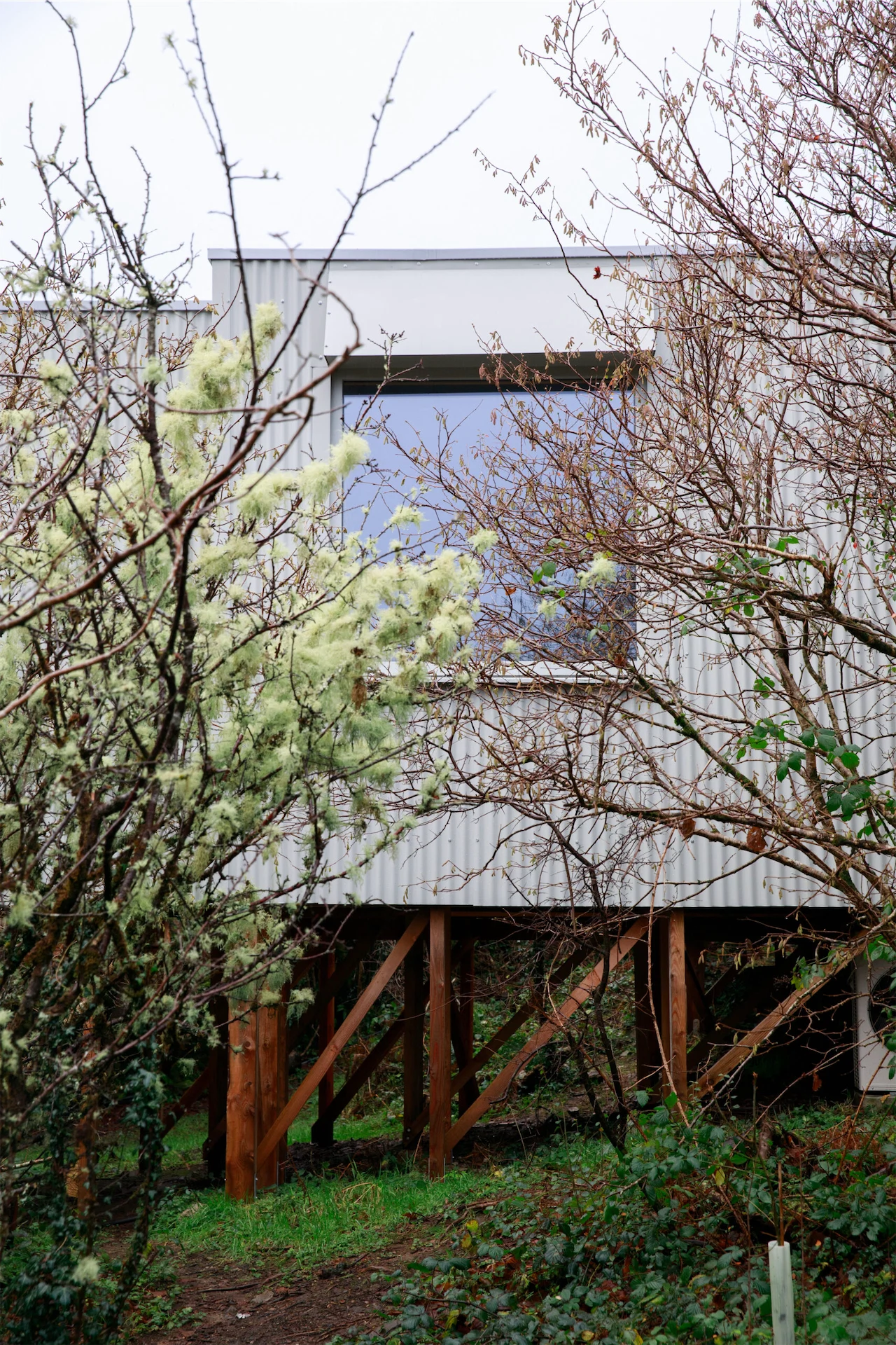 This Connemara retreat is nestled amongst the trees