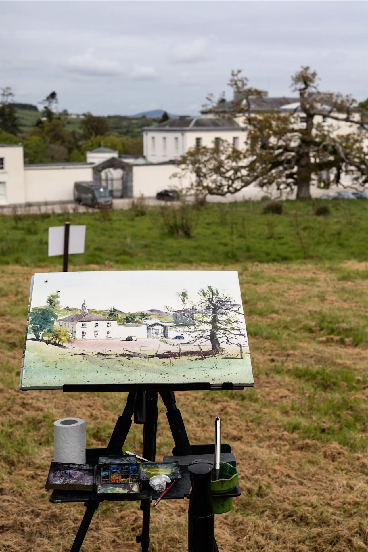 Art in the Gardens: a weekend of painting in nature in Waterford